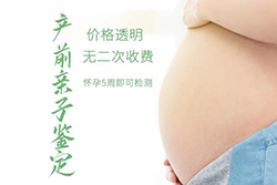 海口孕期亲子鉴定多少钱一次（专家咨询）