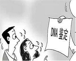 海口落户亲子鉴定准不准，海口落户口亲子鉴定预约