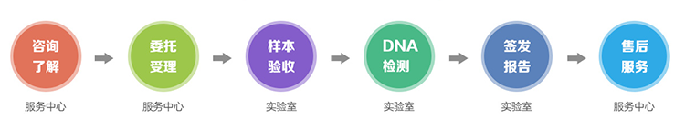 海口隐私亲子鉴定流程